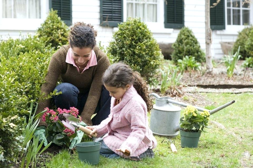 indoor garden projects